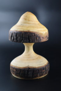 Live Edge Mushroom